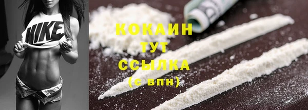 PSILOCYBIN Ельня