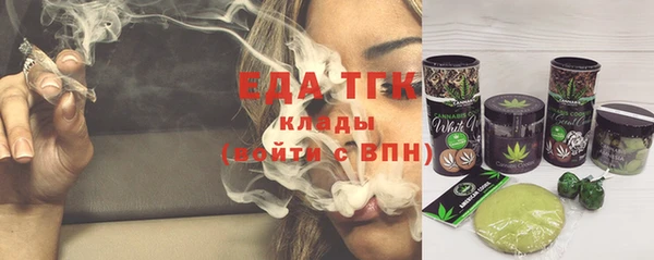 PSILOCYBIN Ельня