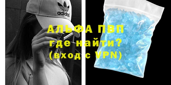 стафф Елизово