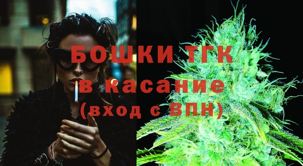 PSILOCYBIN Ельня