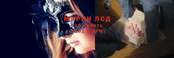 PSILOCYBIN Ельня