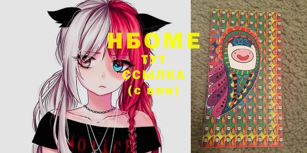стафф Елизово