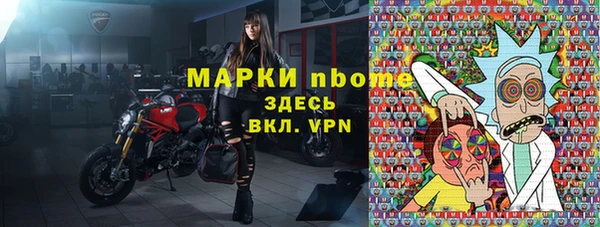 стафф Елизово