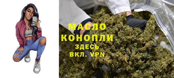 PSILOCYBIN Ельня