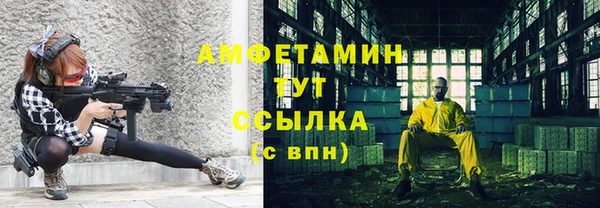 PSILOCYBIN Ельня