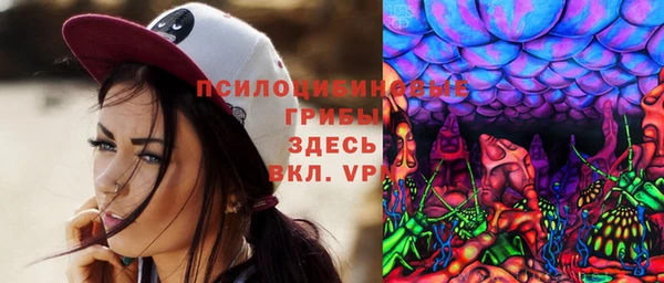 стафф Елизово