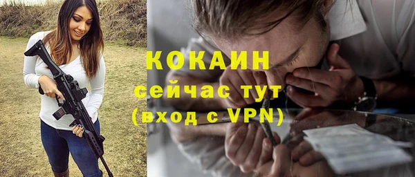 PSILOCYBIN Ельня