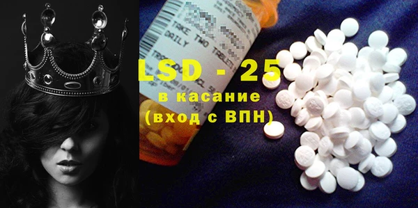 PSILOCYBIN Ельня