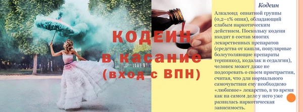 PSILOCYBIN Ельня