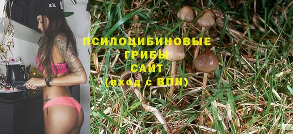стафф Елизово