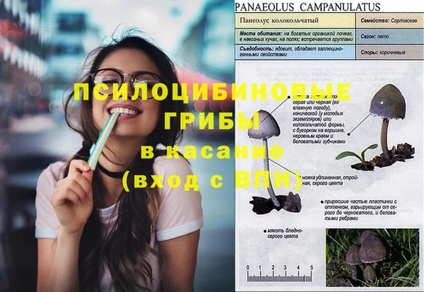 таблы Елабуга