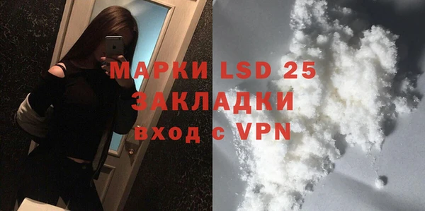 PSILOCYBIN Ельня