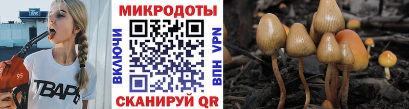 наркошоп  blacksprut как войти  Галлюциногенные грибы Magic Shrooms  Шарыпово 