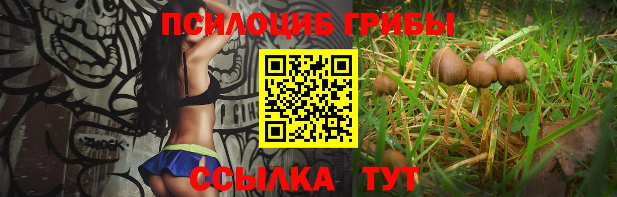 Галлюциногенные грибы Cubensis Шарыпово