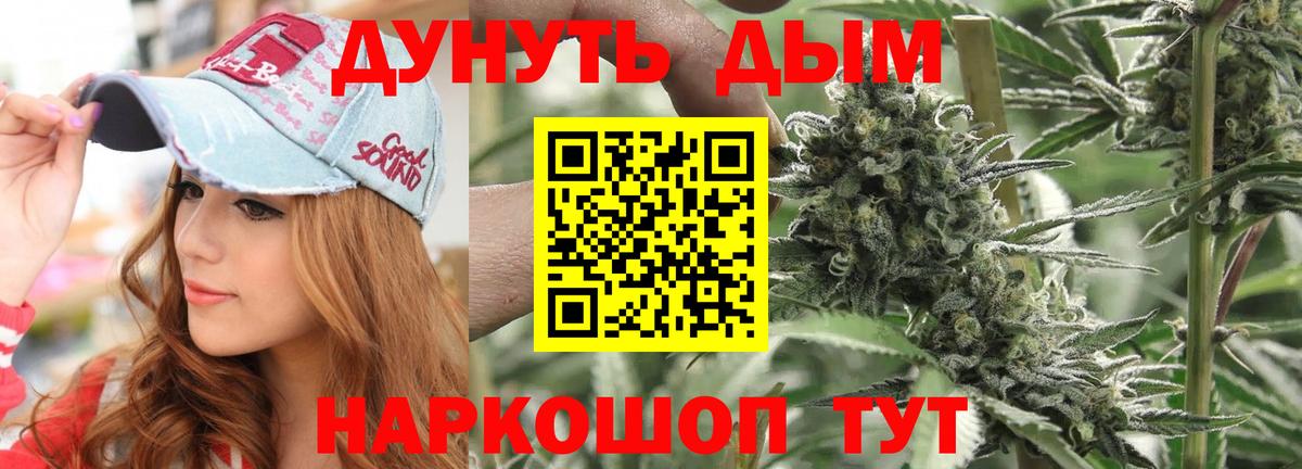 Шарыпово  Каннабис гибрид  Каннабис план  Марихуана Bruce Banner  Вход с VPN 